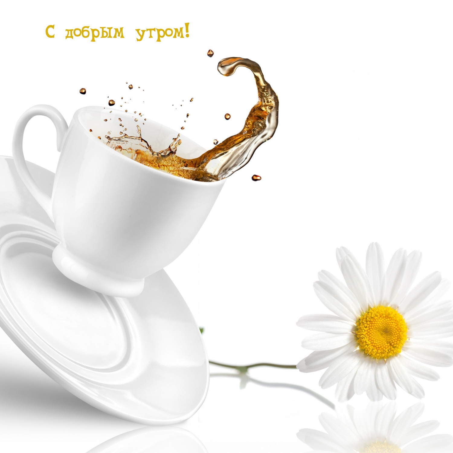 С добрым утром!