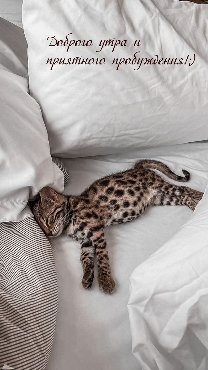 Доброго утра и приятного пробуждения!;)