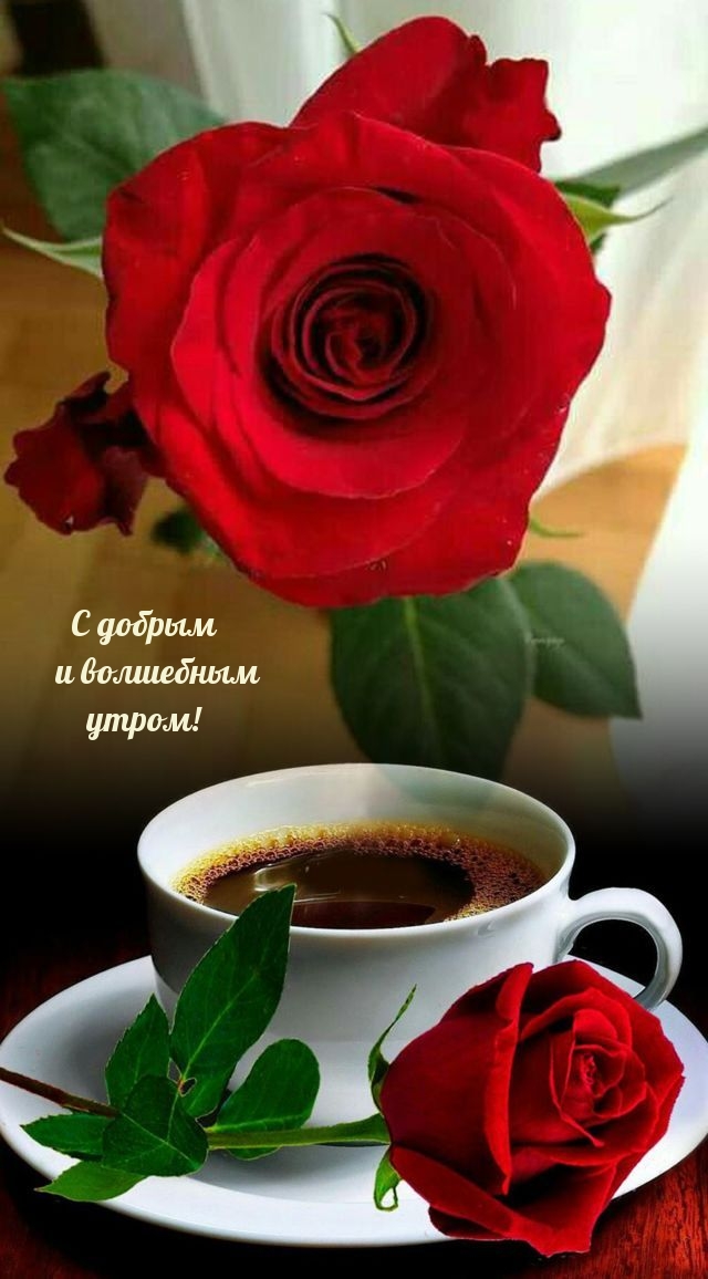 С добрым и волшебным утром!