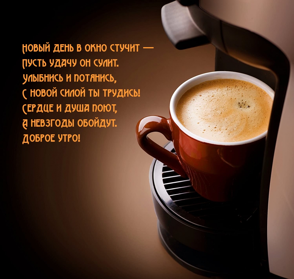 Новый день в окно стучит — пусть удачу он сулит