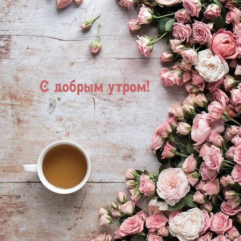 С добрым утром!