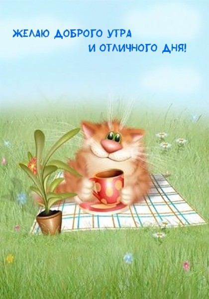Желаю доброго утра и отличного дня!