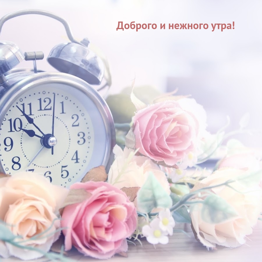 Доброго и нежного утра!