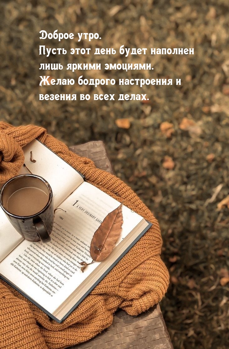Доброе утро. Пусть этот день будет наполнен лишь яркими эмоциями.