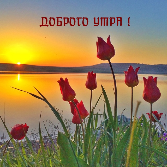 Доброго утра!