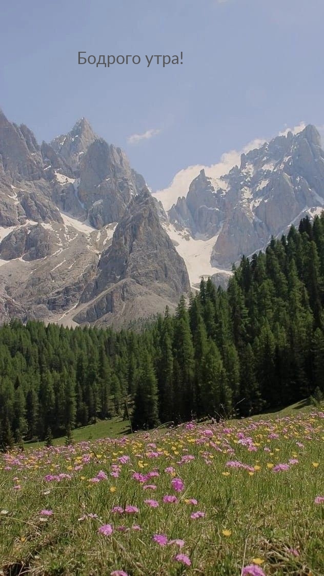 Бодрого утра!