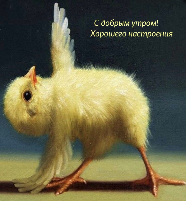 С добрым утром! Хорошего настроения