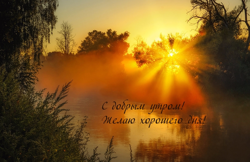 С добрым утром! Желаю хорошего дня!