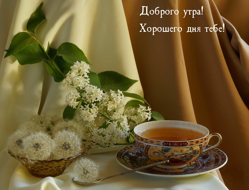 Доброго утра! Хорошего дня тебе!
