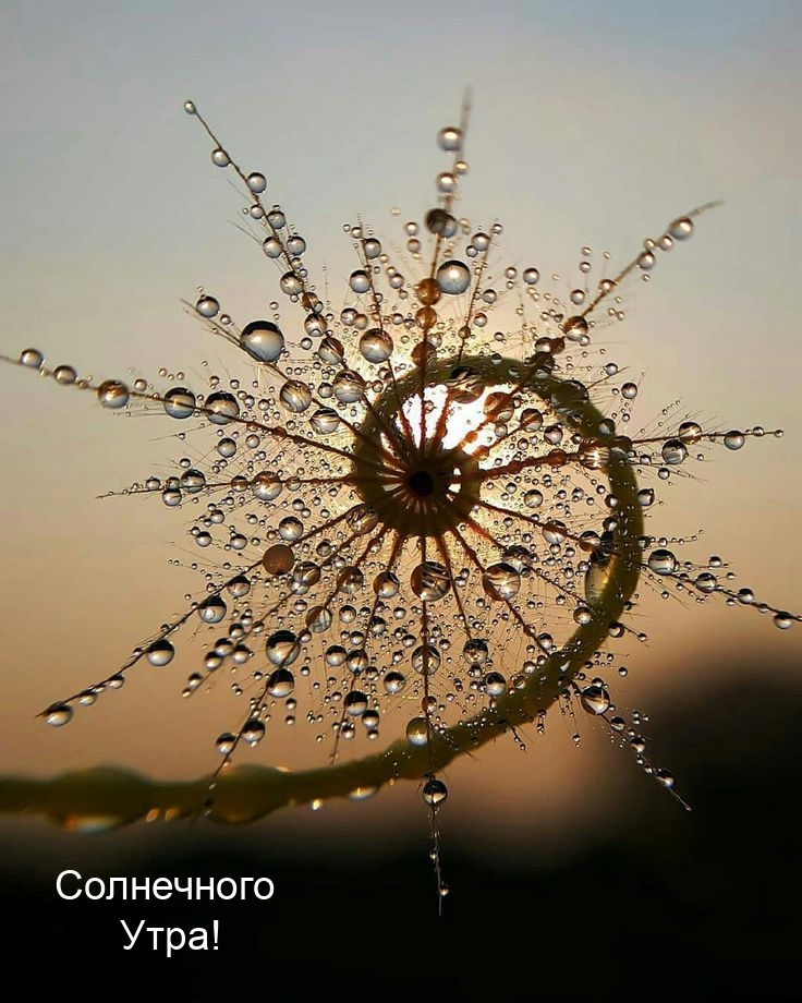 Солнечного Утра!