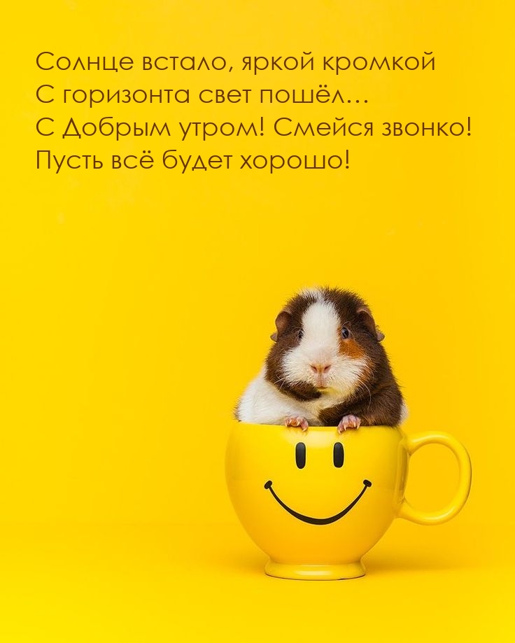 С Добрым утром! Смейся звонко! Пусть всё будет хорошо!