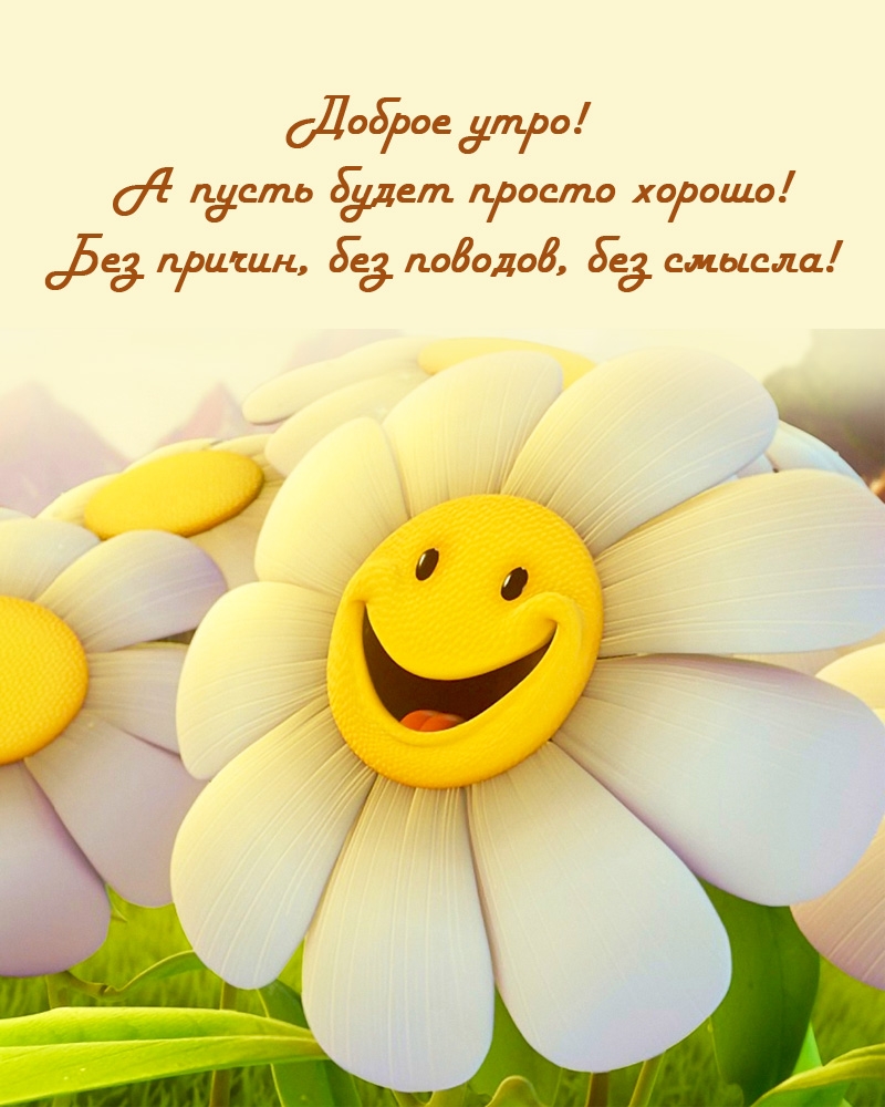 Доброе утро! А пусть будет просто хорошо!