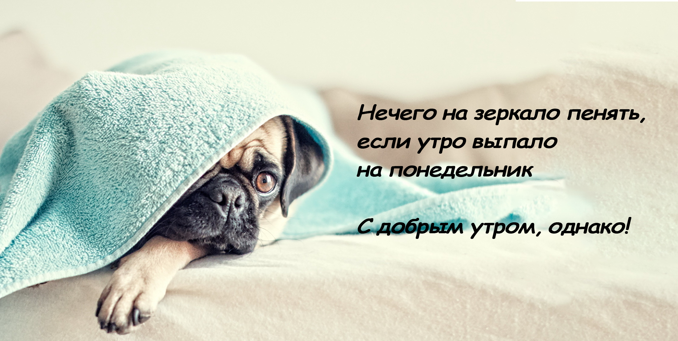 Нечего на зеркало пенять, если утро выпало на понедельник!