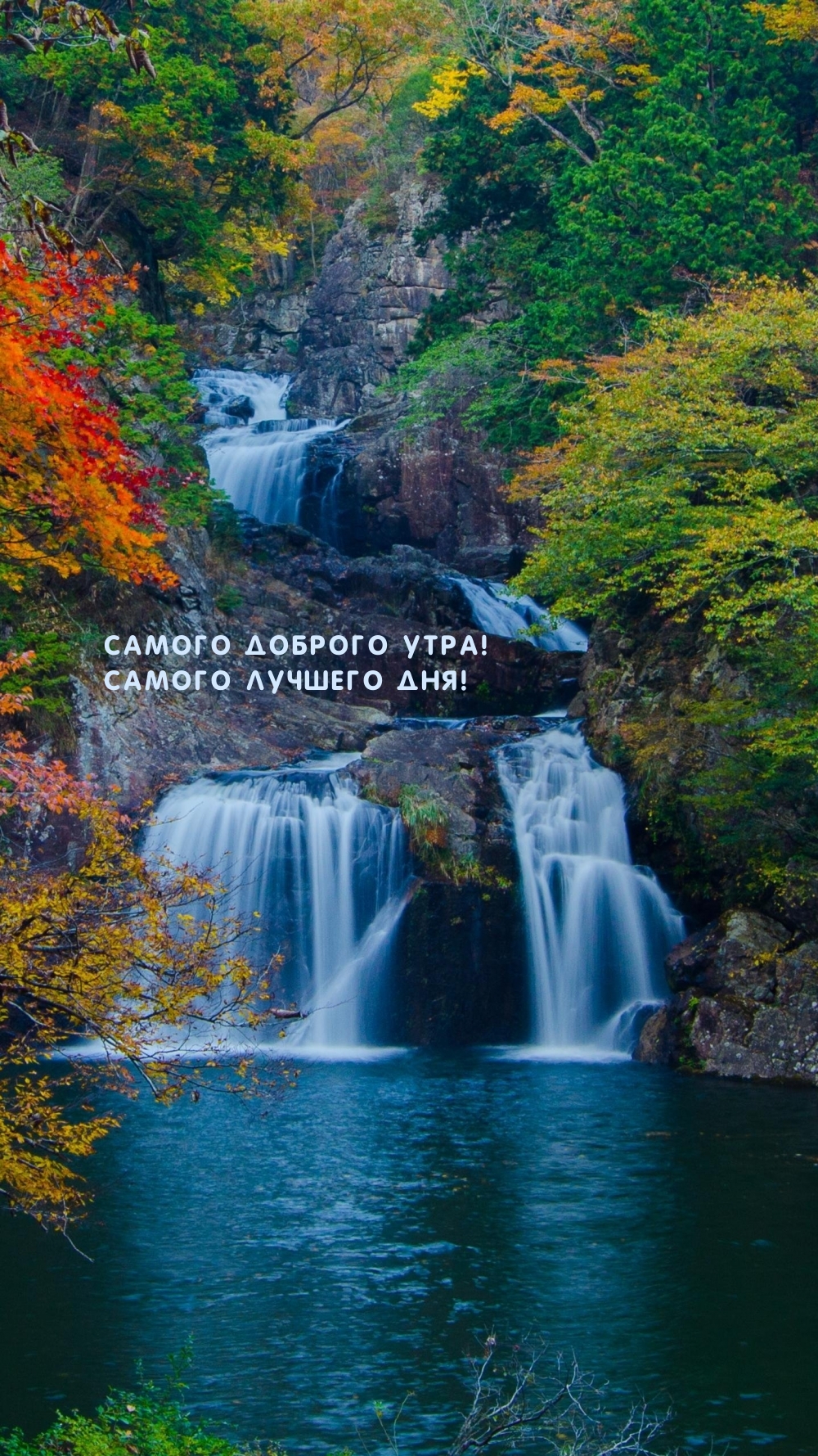 Самого доброго утра! Самого лучшего дня!