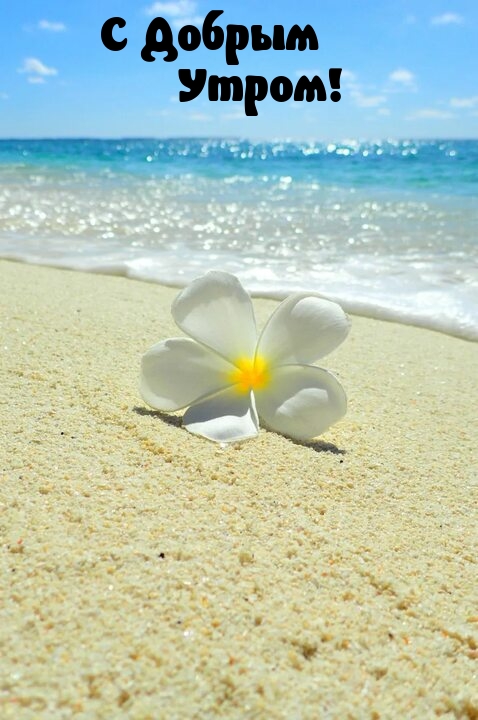 С Добрым Утром!
