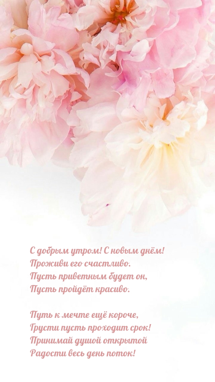 С добрым утром! С новым днём! Проживи его счастливо.