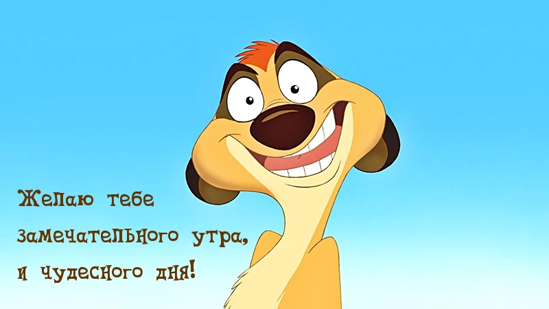 Желаю тебе замечательного утра, и чудесного дня!