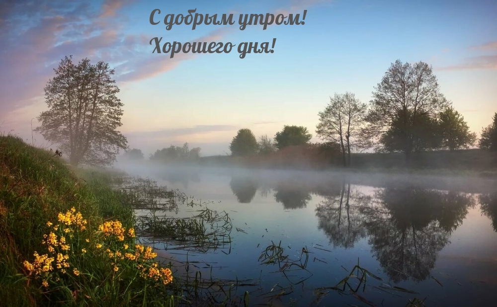 С добрым утром! Хорошего дня!