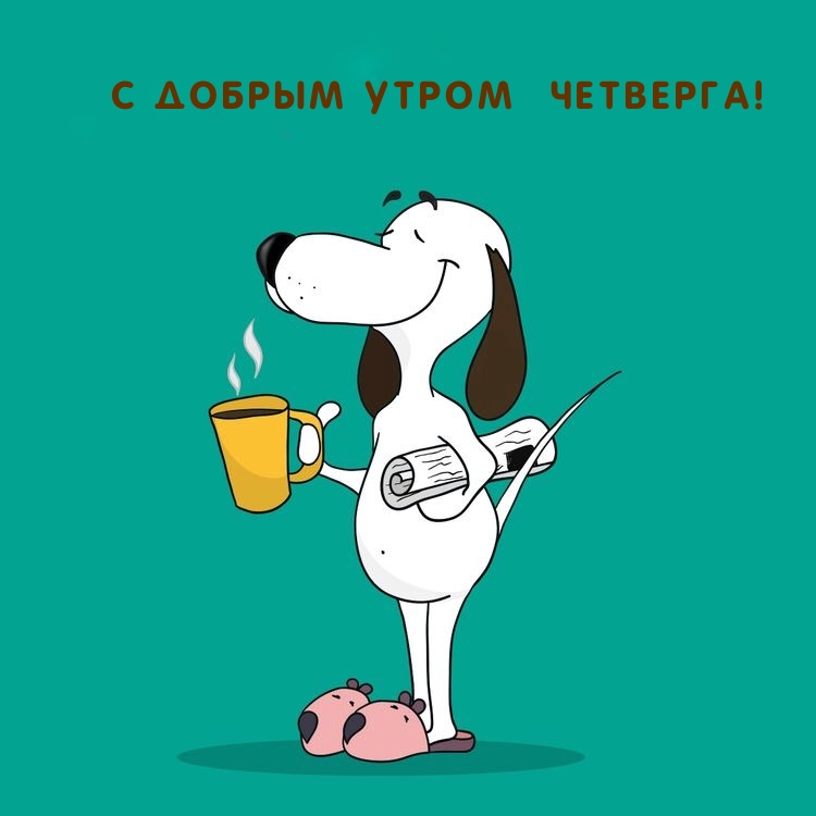 С добрым утром четверга!