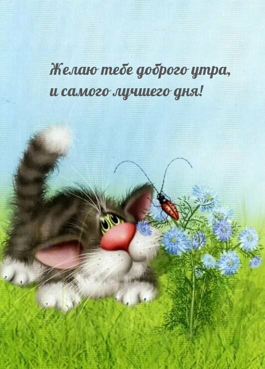 Желаю тебе доброго утра, и самого лучшего дня!