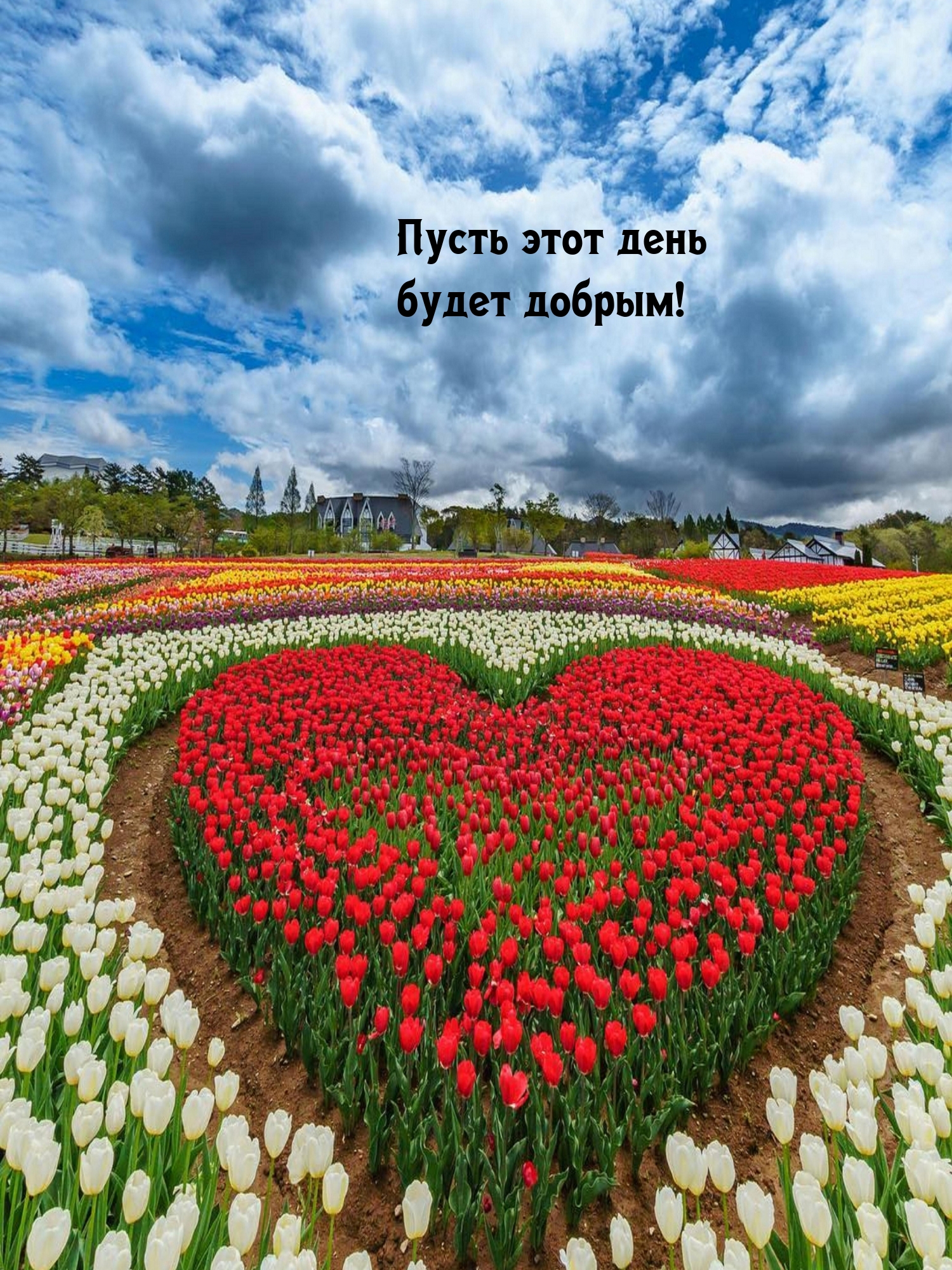 Пусть этот день будет добрым!