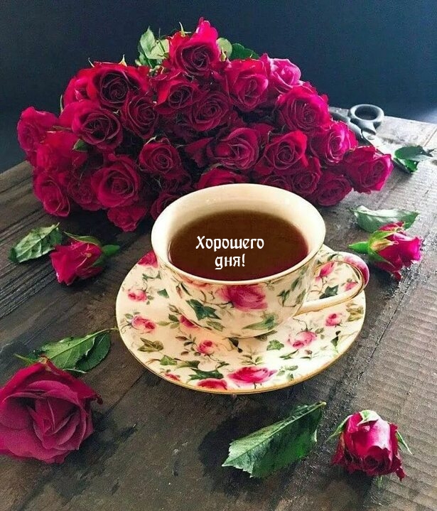 Хорошего дня!
