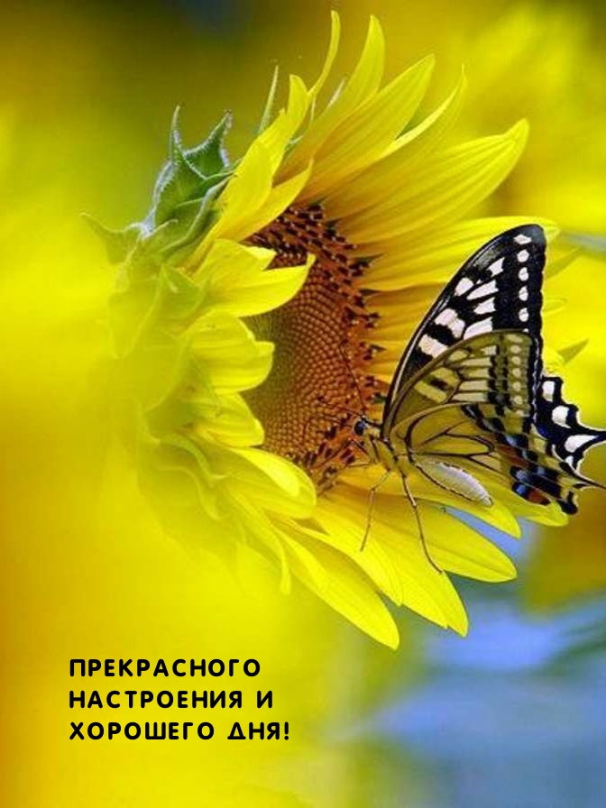 Прекрасного настроения и хорошего дня!