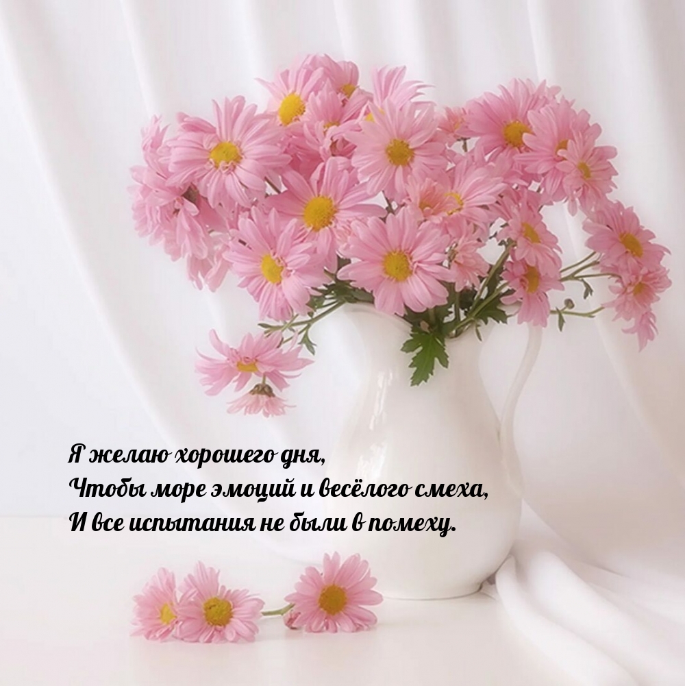 Я желаю хорошего дня, чтобы море эмоций и весёлого смеха