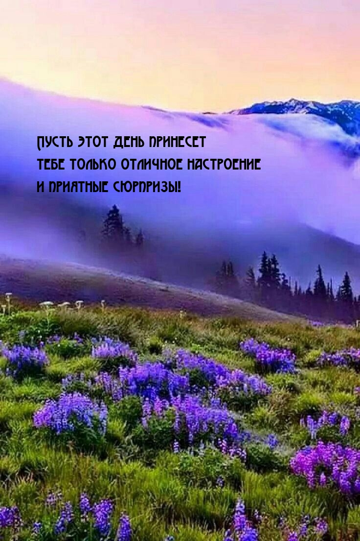 Пусть этот день принесет тебе только отличное настроение