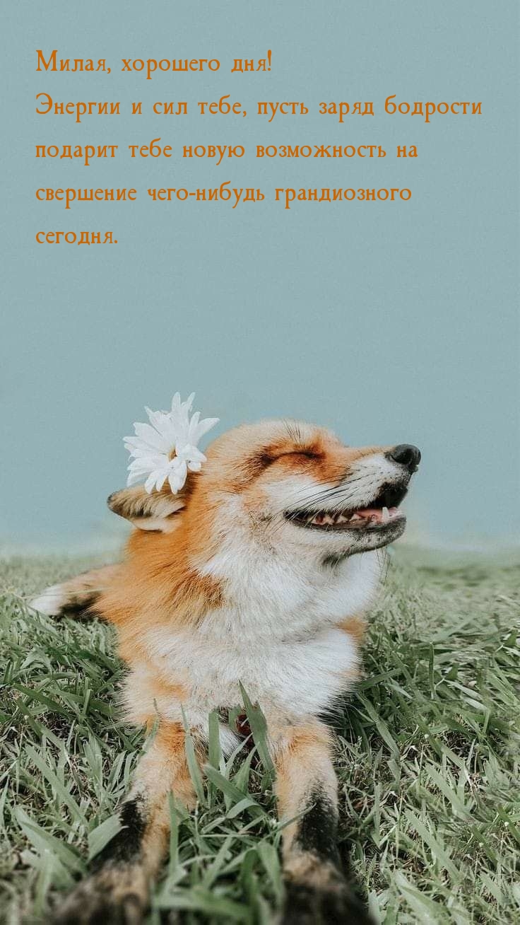 Милая, хорошего дня! Энергии и сил тебе