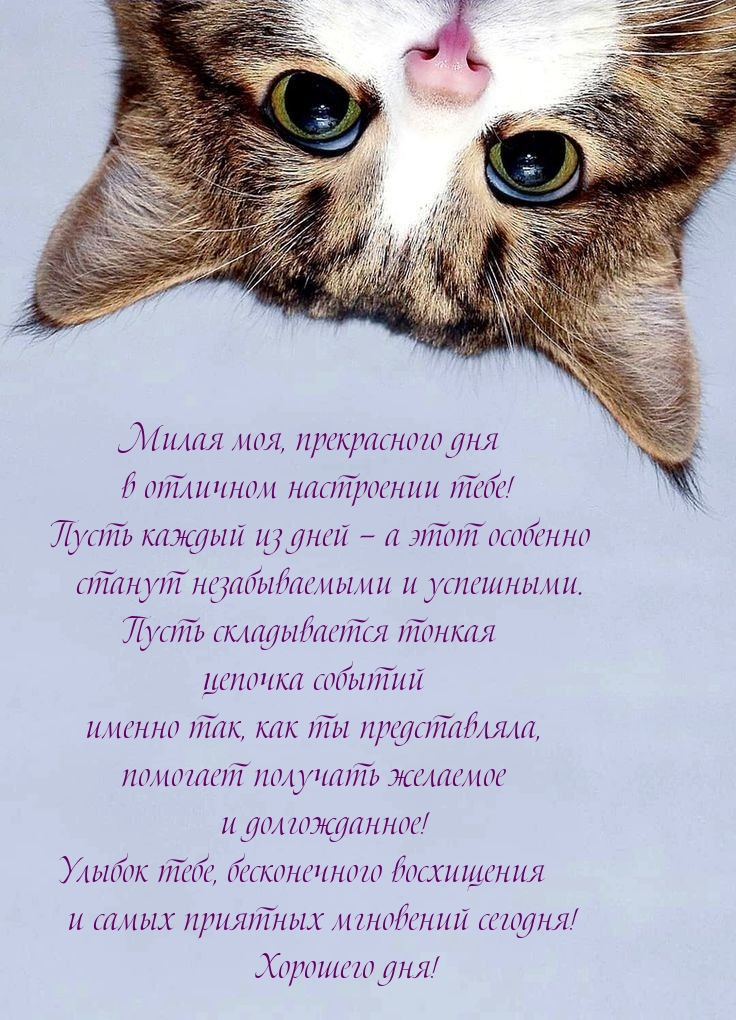Милая моя, прекрасного дня в отличном настроении тебе!