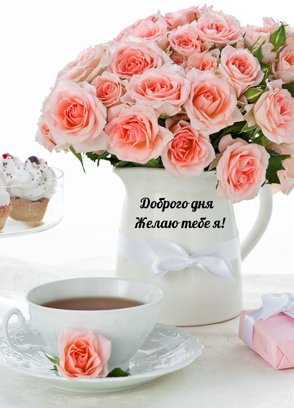 Доброго дня желаю тебе я!