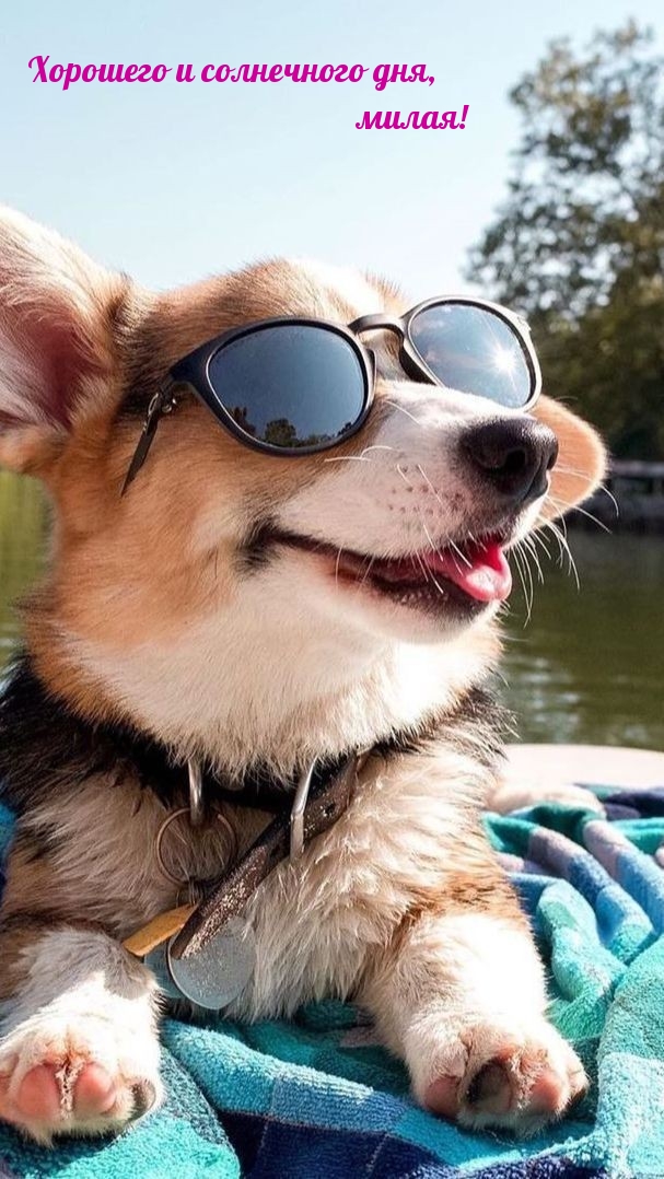 Хорошего и солнечного дня, милая!