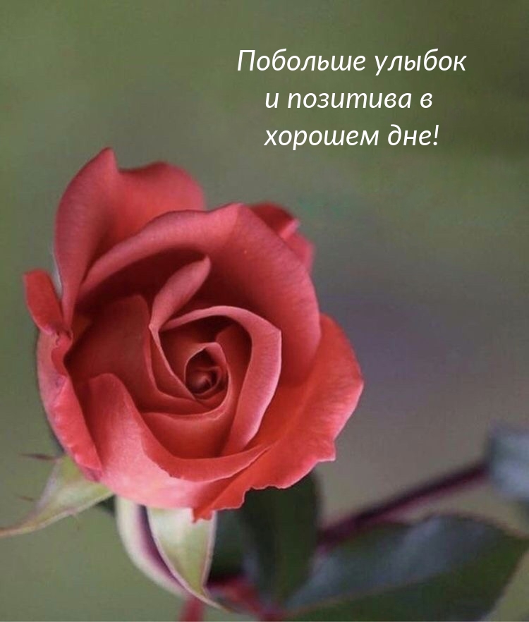 Побольше улыбок и позитива в хорошем дне!