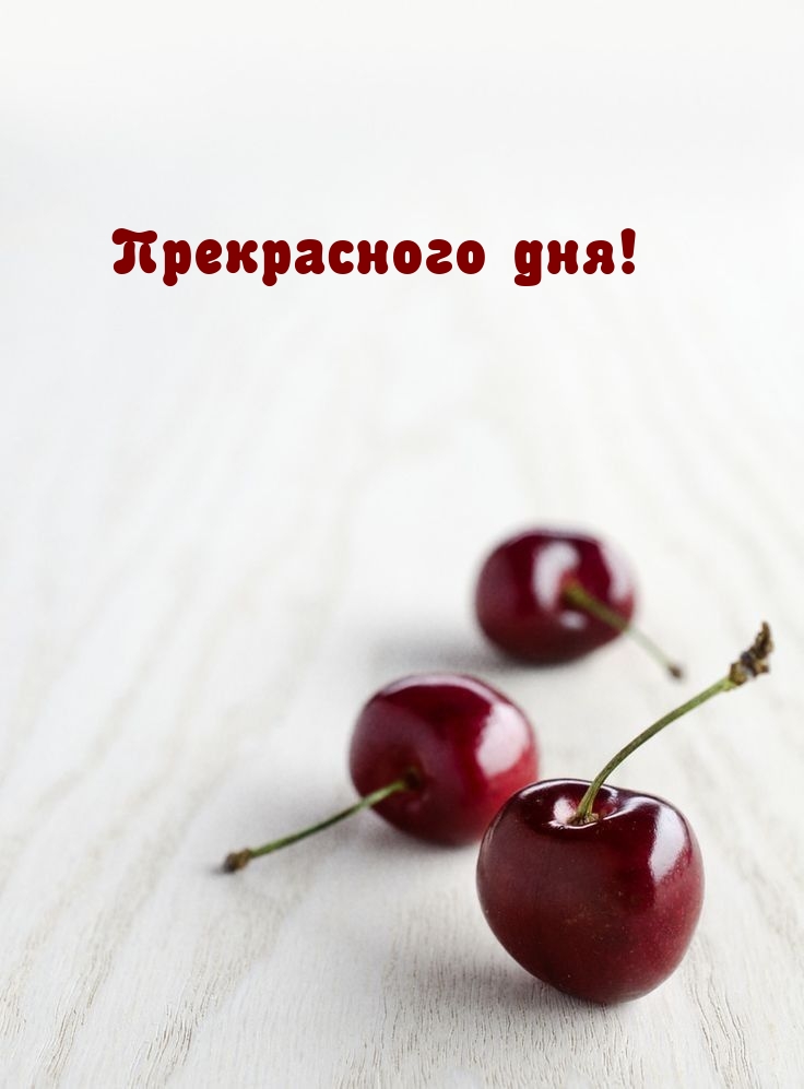 Прекрасного дня!
