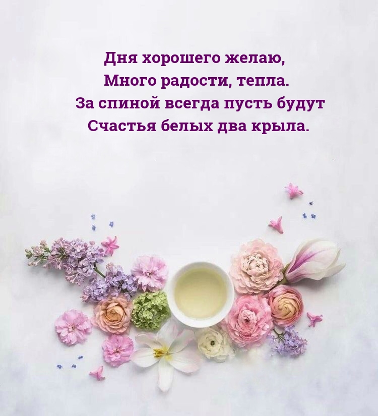 Дня хорошего желаю, много радости, тепла.