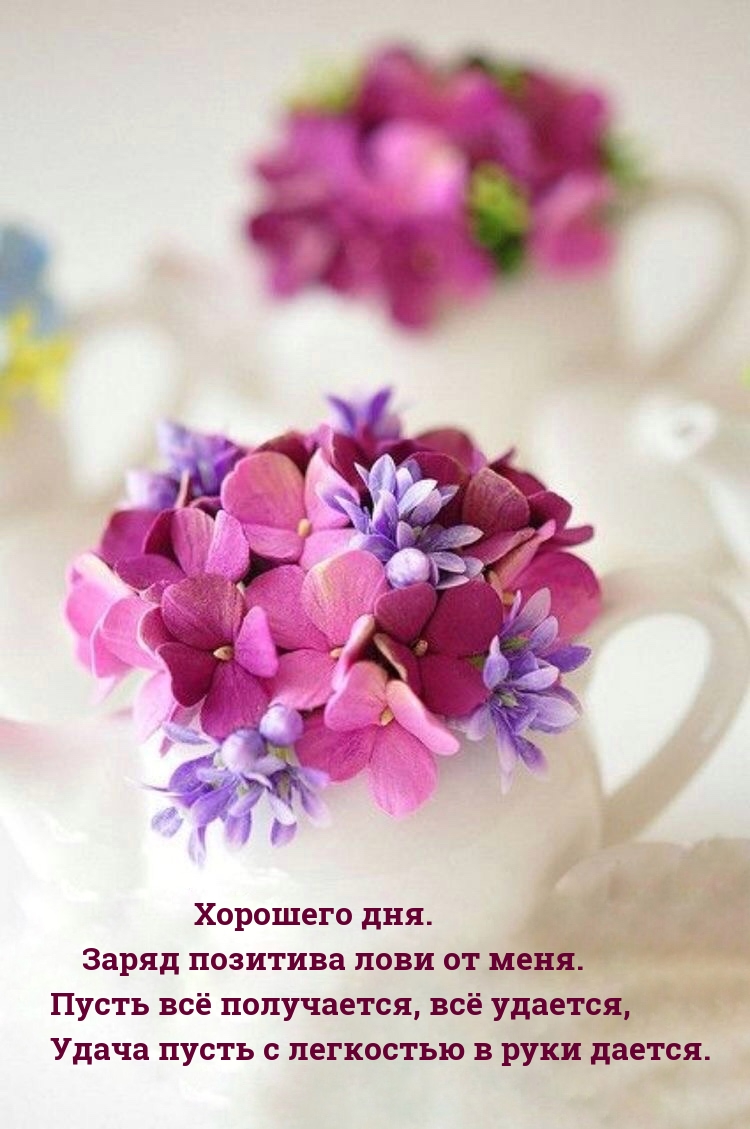 Хорошего дня. Заряд позитива лови от меня.