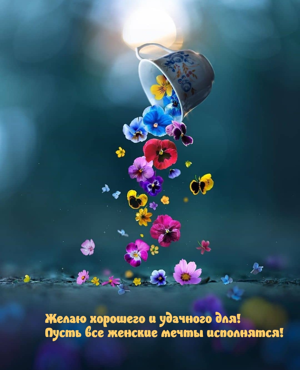 Желаю хорошего и удачного для! Пусть все женские мечты исполнятся!