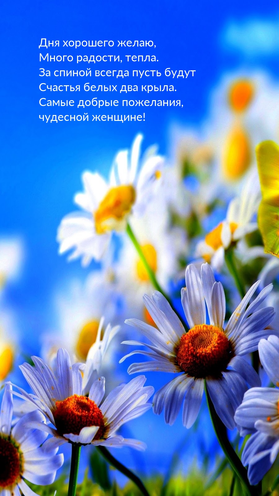 Дня хорошего желаю, много радости, тепла.