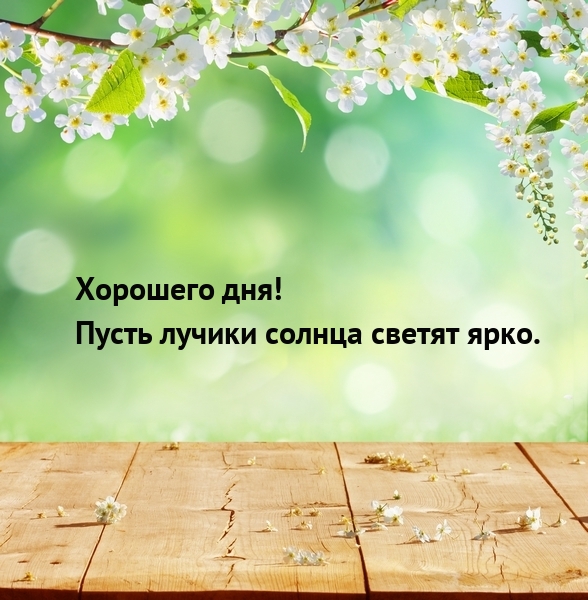 Хорошего дня! Пусть лучики солнца светят ярко.
