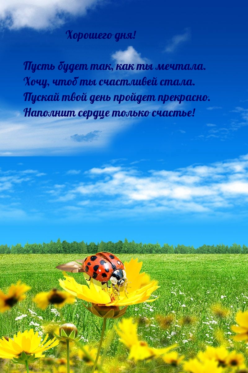 Хорошего дня! Пусть будет так, как ты мечтала.
