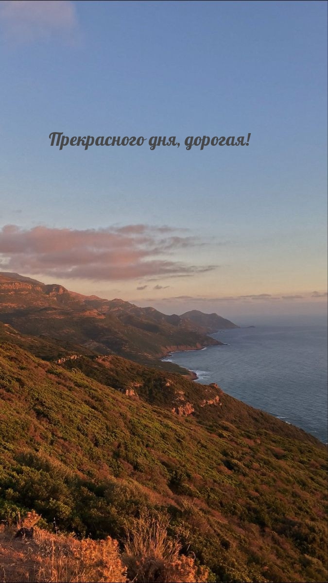 Прекрасного дня, дорогая!