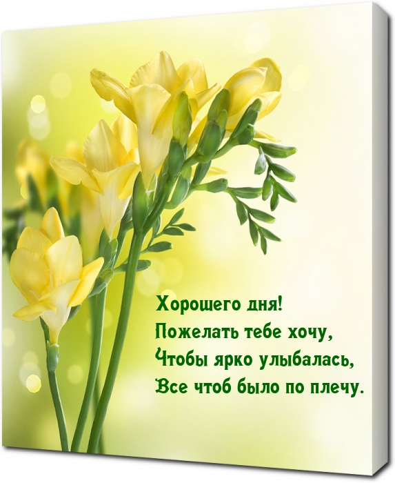 Хорошего дня! Пожелать тебе хочу, чтобы ярко улыбалась