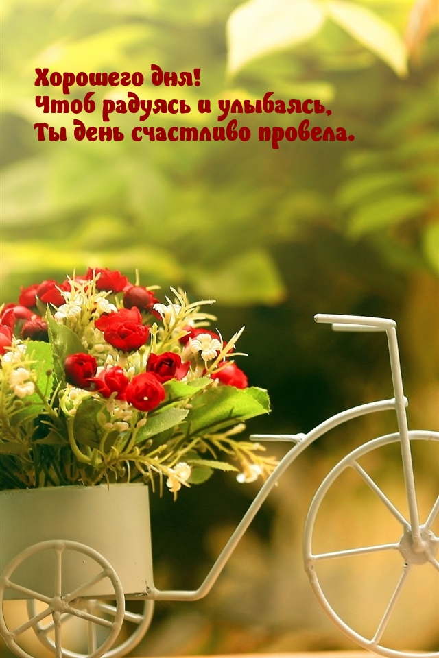 Хорошего дня! Чтоб радуясь и улыбаясь, Ты день счастливо провела.
