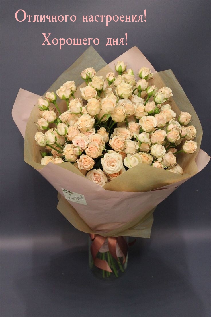 Отличного настроения! Хорошего дня!