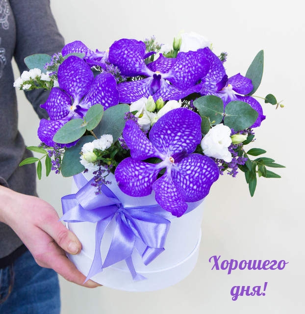 Хорошего дня!