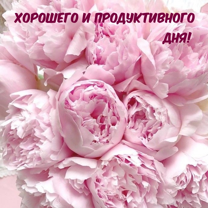 Хорошего и продуктивного дня!