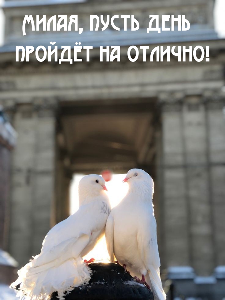 Милая, пусть день пройдёт на отлично!