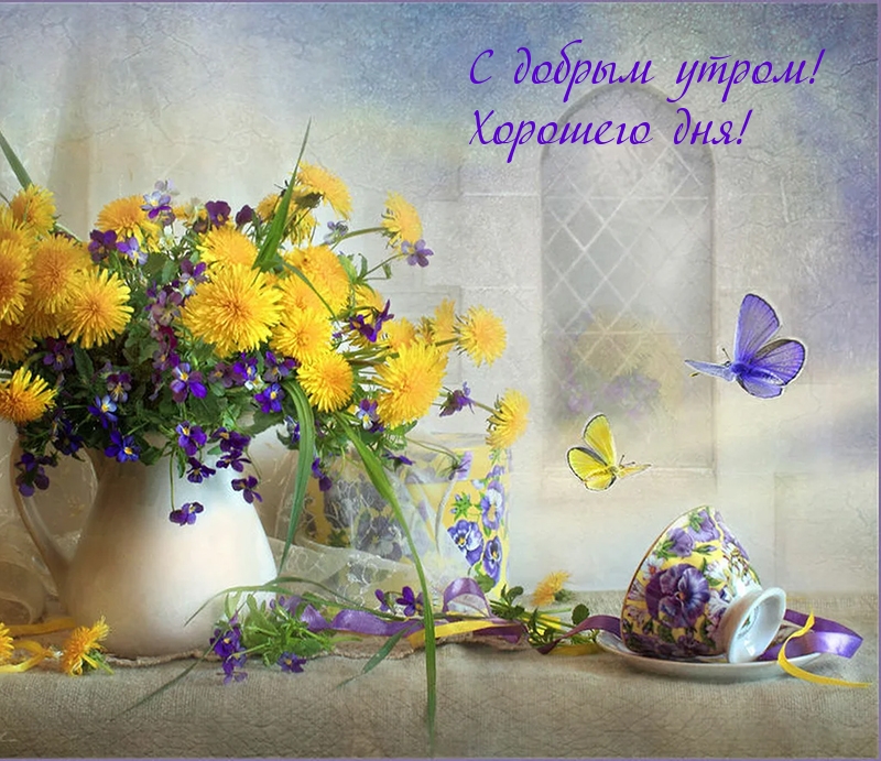 С добрым утром! Хорошего дня!