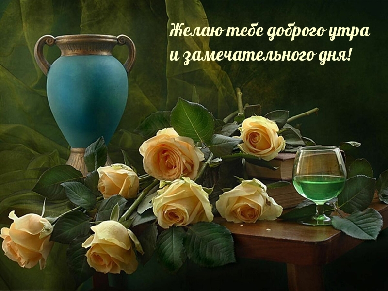 Желаю тебе доброго утра и замечательного дня!